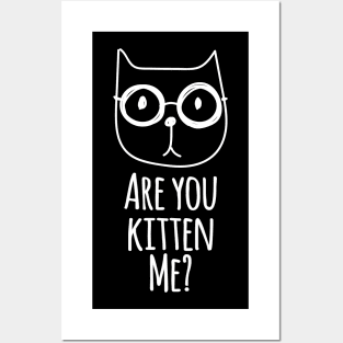 Kitten Kitty Animal lover Ideas Funny Cat Lovers Gifts Posters and Art